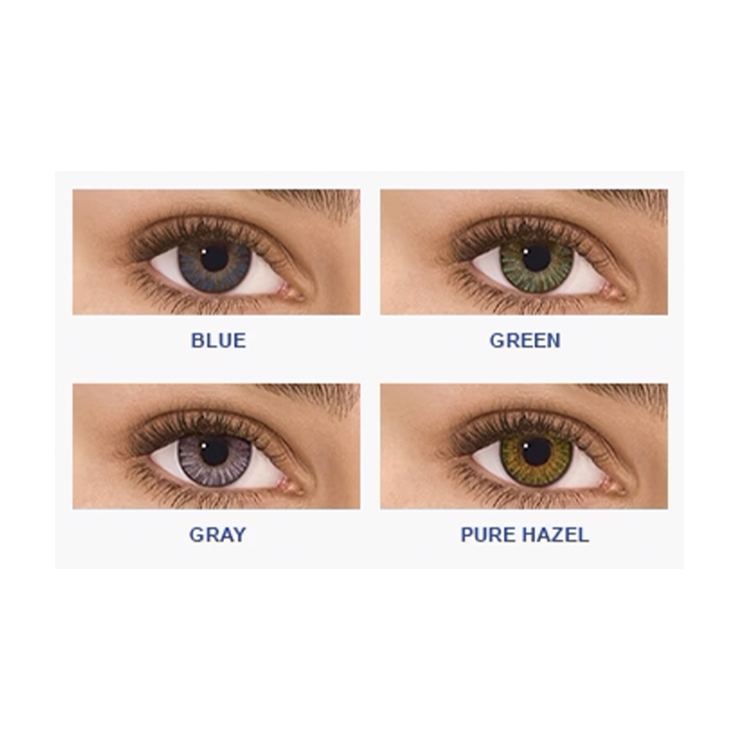 freshlook colorblend